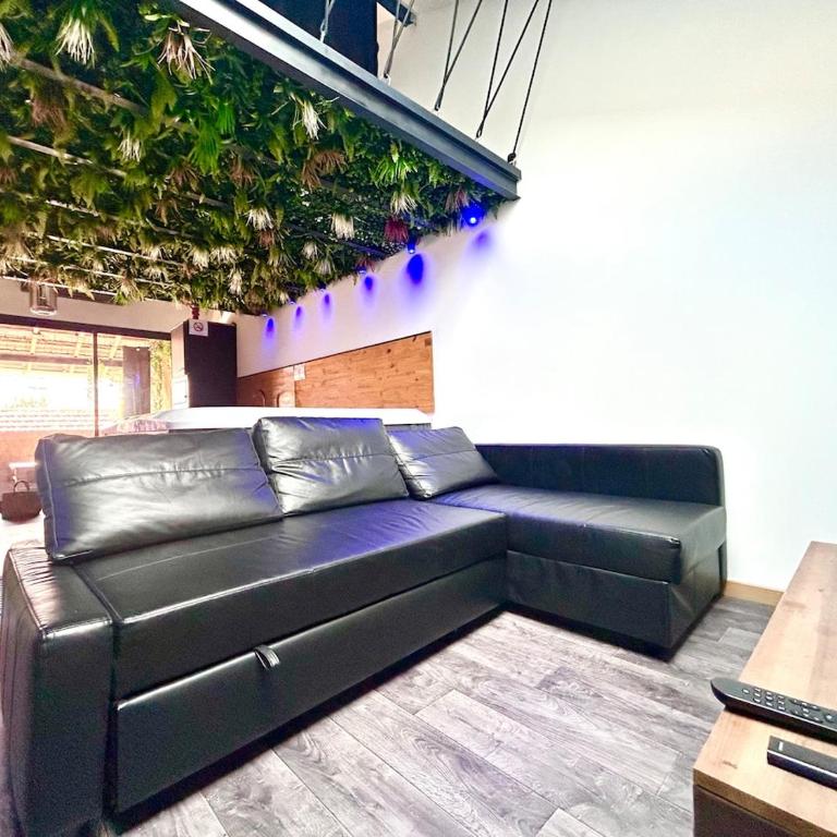 Suite avec Jacuzzi - Soirée Romantique - Appartement 1 Chambre - 17