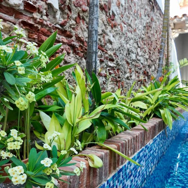 Casa Oasis - Five-Bedroom House - 2