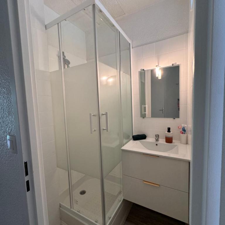 Le camarguais - Appartement 1 Chambre - 6