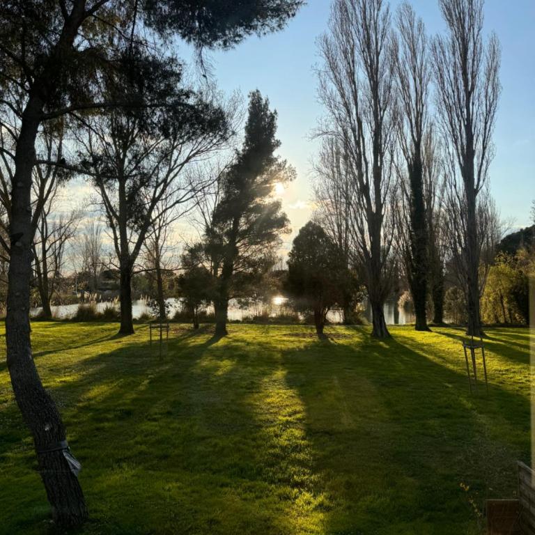 Le camarguais - Appartement 1 Chambre - 1