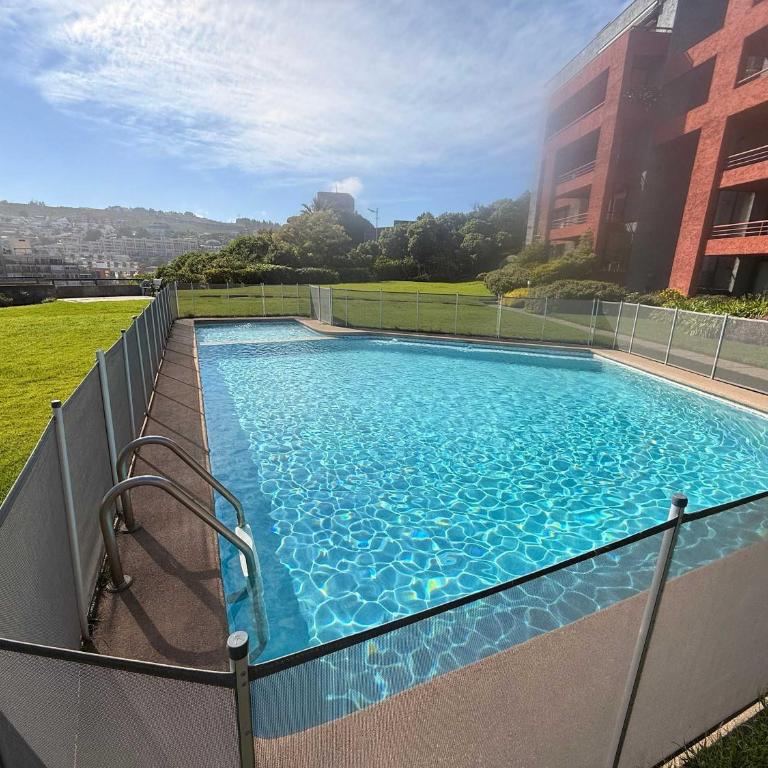 Renaca on foot with ocean view - Apartamento - 5