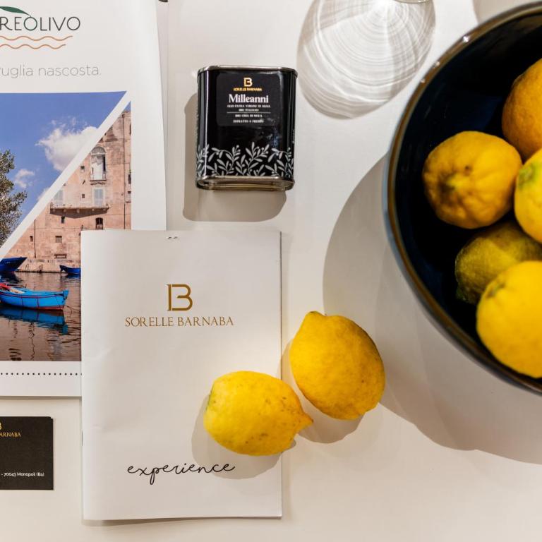 Old Court Luxury Suite Spa by Monholiday - Apartment - 27