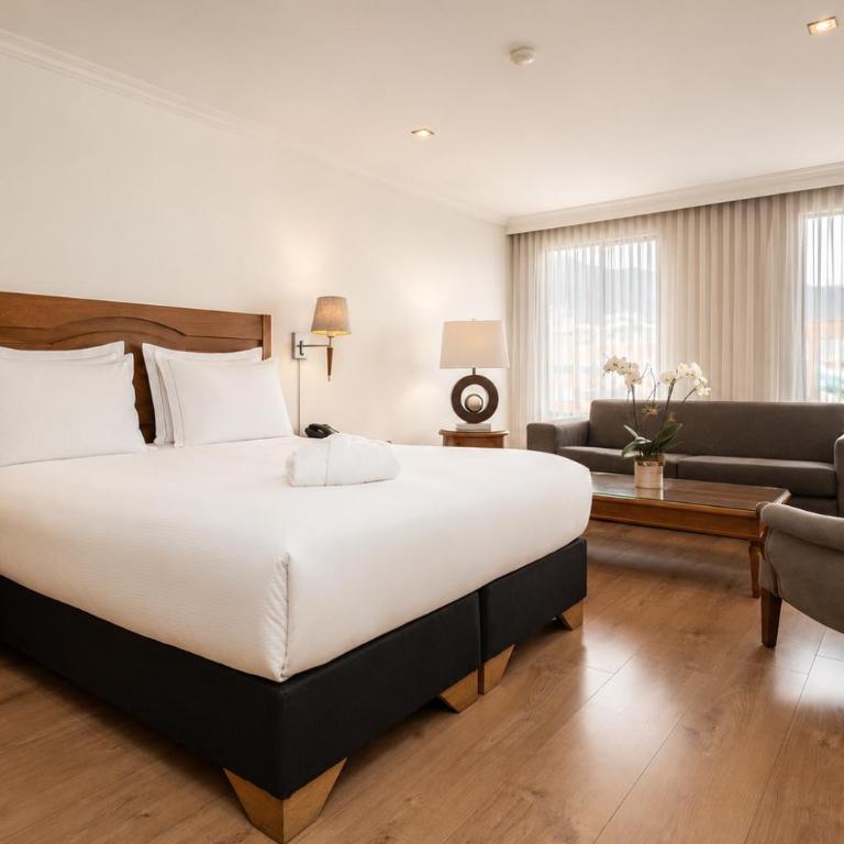 Hotel Egina Bogotá - Suite Junior - 4