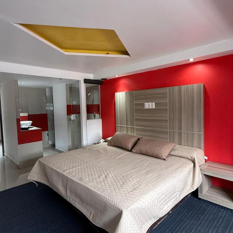 Hotel Rossel Plaza - Habitación Estándar - 1 cama grande - 2