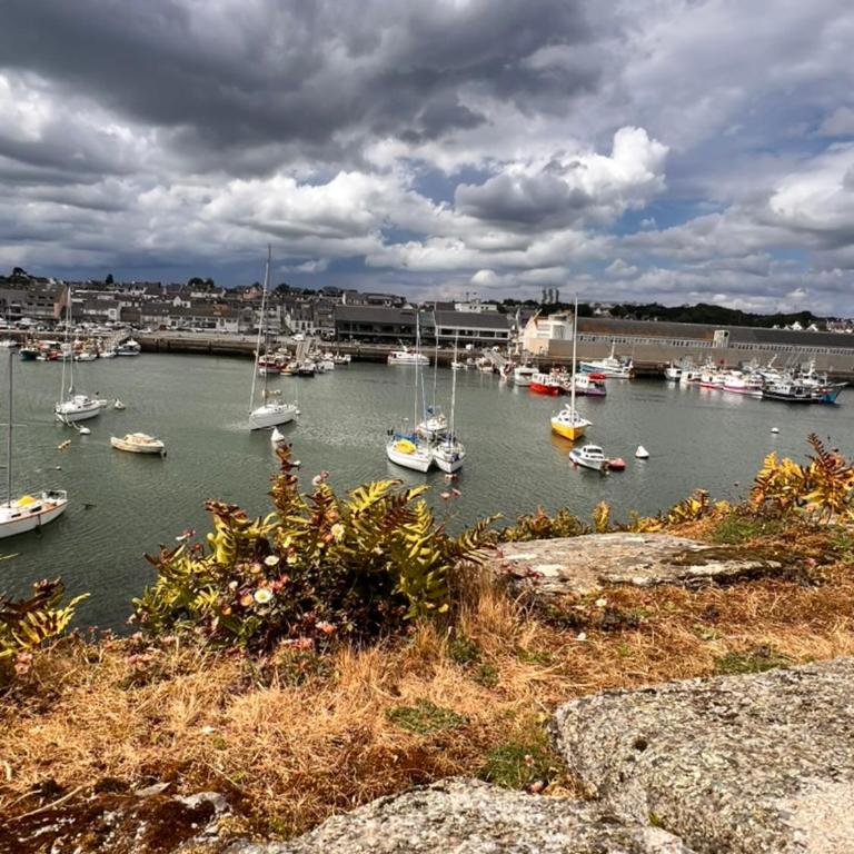 Chez Jeannette, appartement entre centre et plages - Appartement 1 Chambre - 64