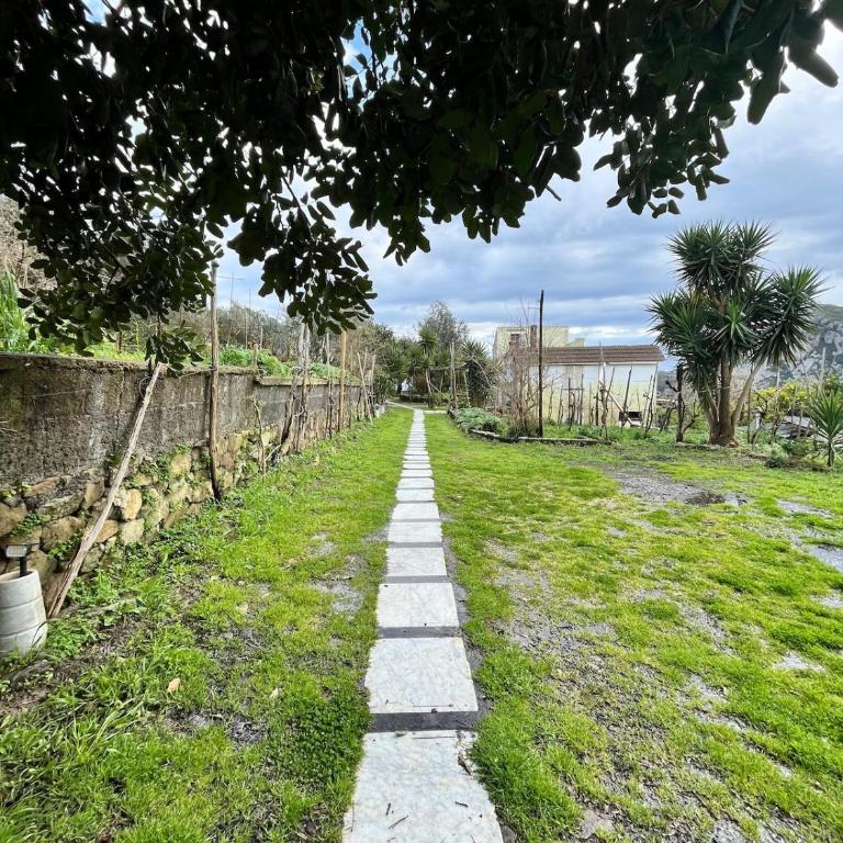 The Grape House - Appartamento con 1 Camera da Letto - 7