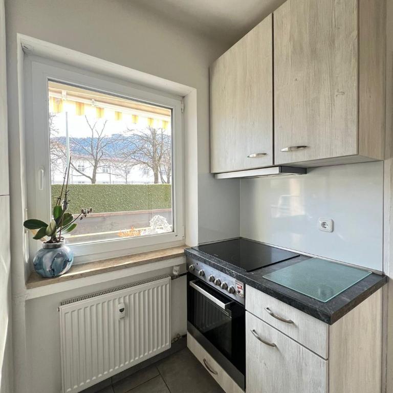 Alpina Queen Apartment - Appartement 1 Chambre - 11