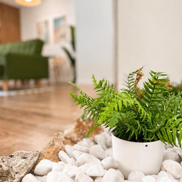 Pension Principe Sol - Apartamento de 1 dormitorio - 9