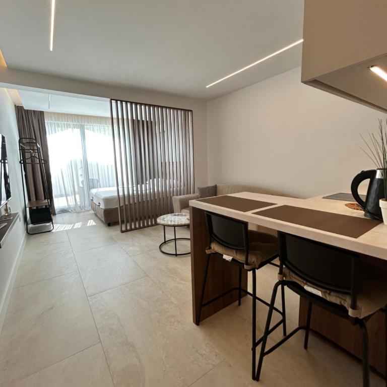 Linea Apartment - One-Bedroom Apartment - 5