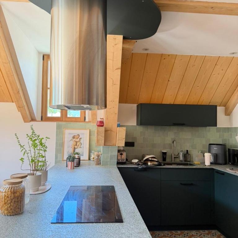 Le dôme - Appartement 3 Chambres avec Vue sur la Montagne - 2