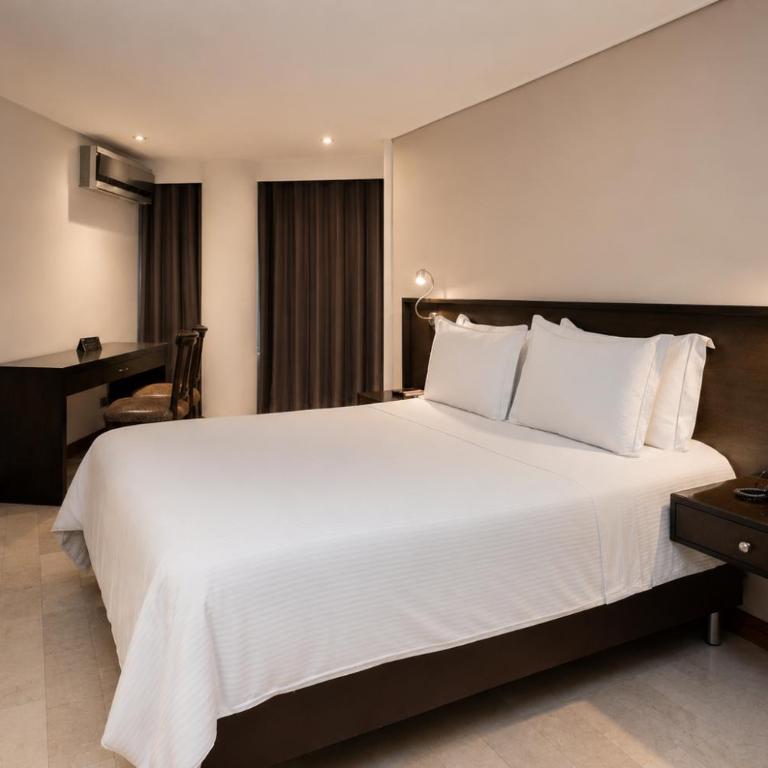 Hotel Egina Medellin - Suite Junior - 1