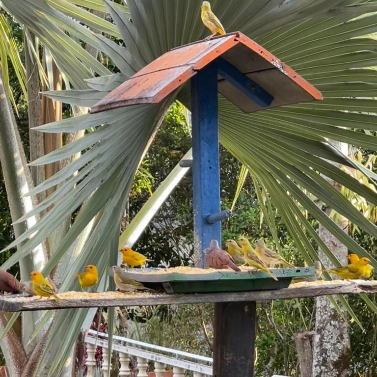 Finca La Pomarosa Style- Nature, pool and relaxation - Casa de 5 dormitorios - 3