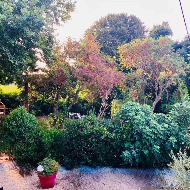 Le Ramounet - Maison 3 Chambres - 33