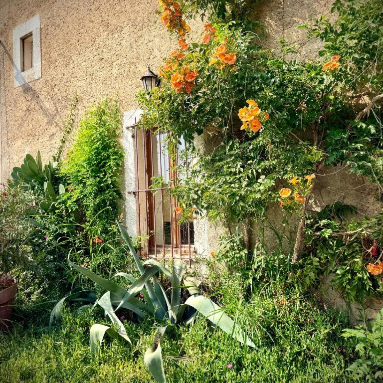 Le Ramounet - Maison 3 Chambres - 2