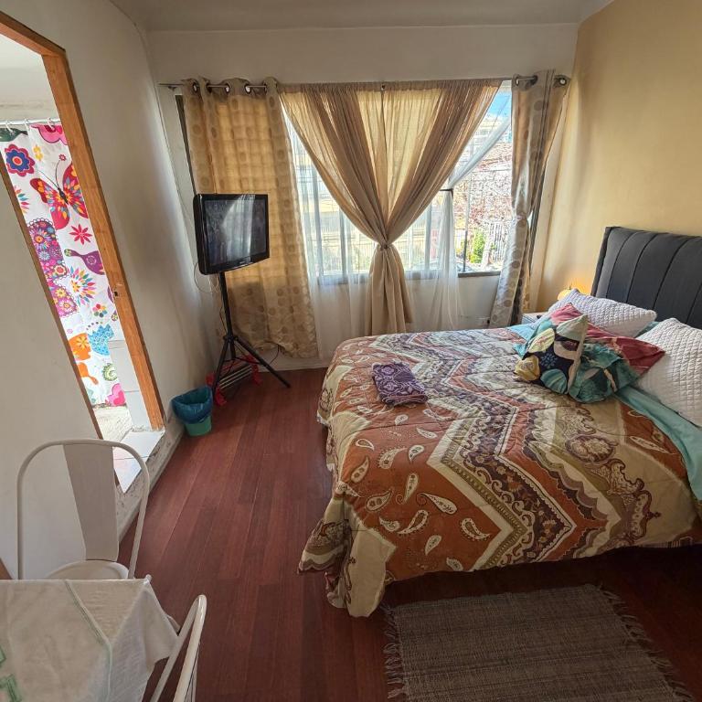 Hostal Turismo Quintamar - Habitación Doble con vistas al parque - 17