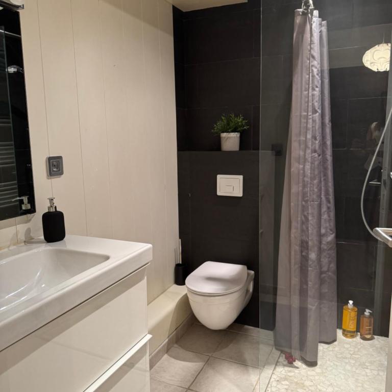 Élégance&Cosy Studio et parking Proximité Gare Part Dieu - Appartement 1 Chambre - 12