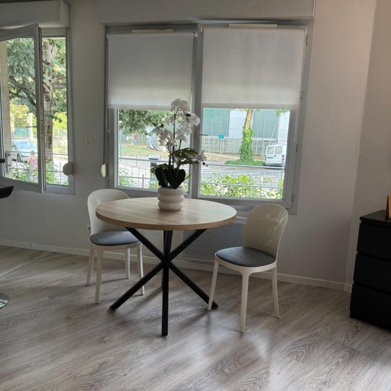 Élégance&Cosy Studio et parking Proximité Gare Part Dieu - Appartement 1 Chambre - 15