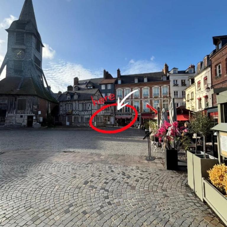 la canopée - Place Sainte-Catherine - Appartement 1 Chambre - 2