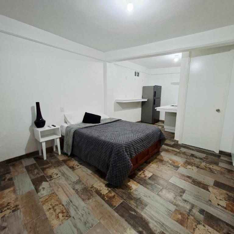 Casa Avelina Suite 104 Cocina,AC, Baño privado - Apartment mit 1 Schlafzimmer - 2