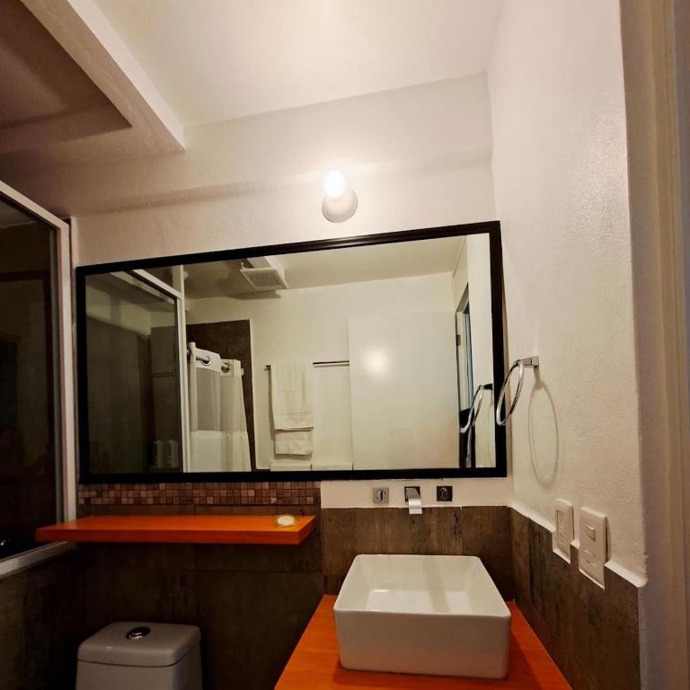 Casa Avelina Suite 104 Cocina,AC, Baño privado - Apartment mit 1 Schlafzimmer - 12