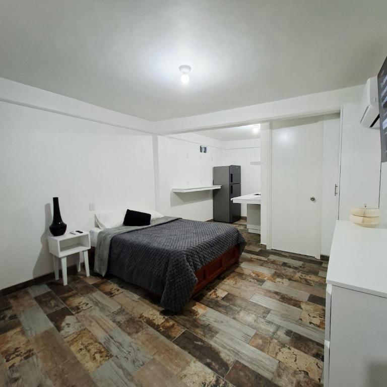 Casa Avelina Suite 104 Cocina,AC, Baño privado - Apartment mit 1 Schlafzimmer - 16
