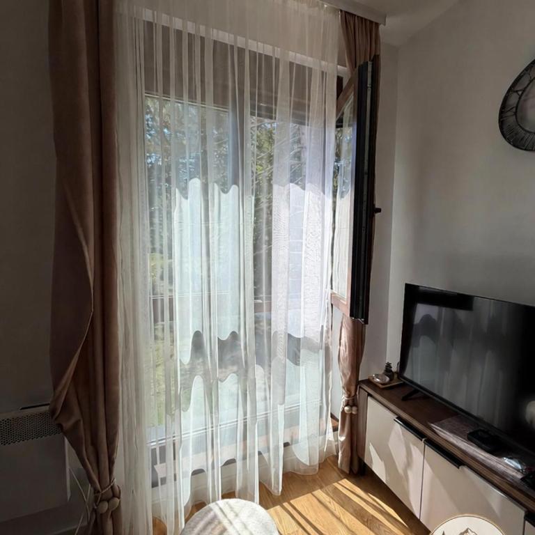 Dar A&T Zlatibor - Apartman i spa - Appartement 1 Chambre - 5