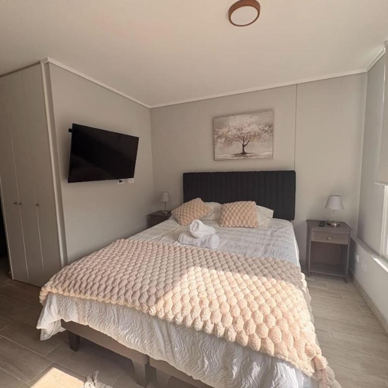 Metro Rondizzoni I Movistar Arena I Parque Ohiggins - Apartamento de 1 dormitorio - 1
