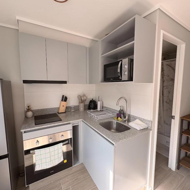 Metro Rondizzoni I Movistar Arena I Parque Ohiggins - Apartamento de 1 dormitorio - 3