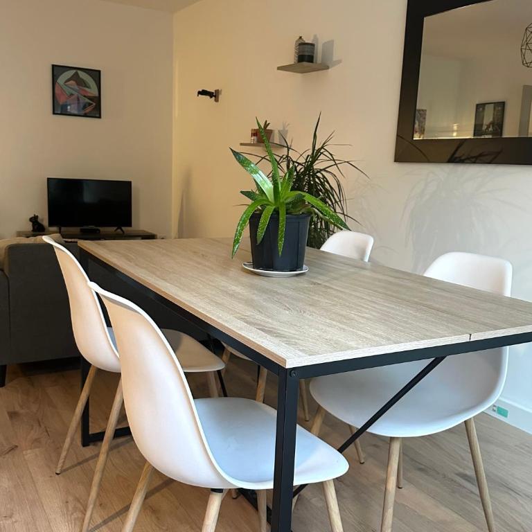 Appartement Calme avec Clim, Balcon et Parking Ovalie - Apartment mit 1 Schlafzimmer - 4