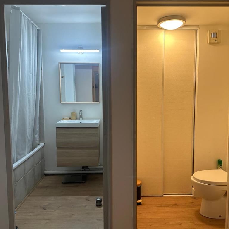 Appartement Calme avec Clim, Balcon et Parking Ovalie - Apartment mit 1 Schlafzimmer - 10