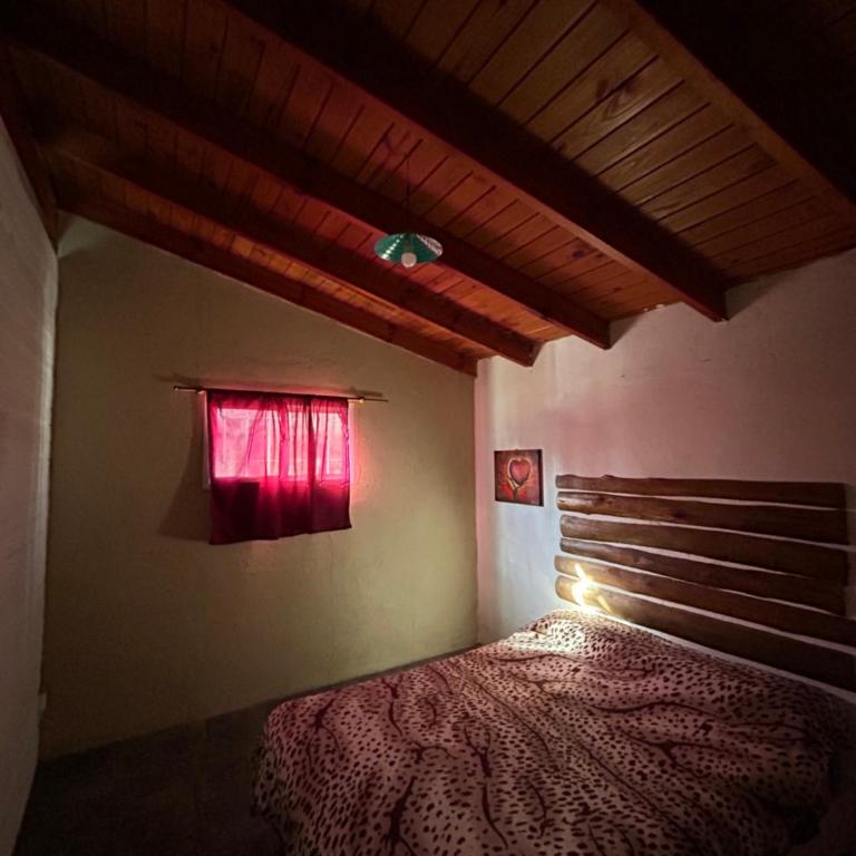 Cabaña Canaan - Apartamento de 2 dormitorios - 5