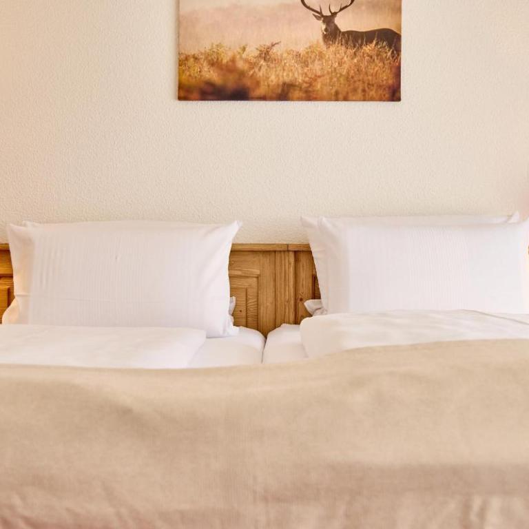 Berghotel Hammersbach, Sure Hotel Collection by Best Western - Standard Zimmer mit 1 Doppelbett und 1 Einzelbett – Balkon/separates Gebäude - 4
