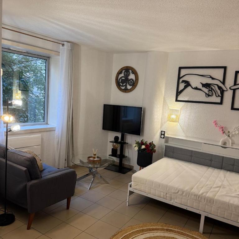 Large cozy studio - Annemasse - Close to Geneva - Appartamento con 1 Camera da Letto - 9