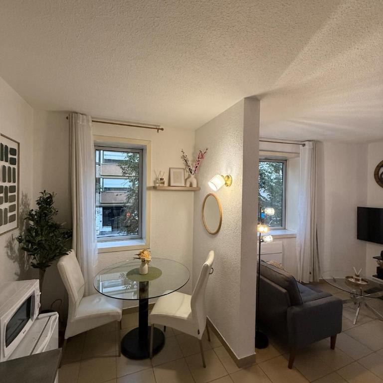 Large cozy studio - Annemasse - Close to Geneva - Appartamento con 1 Camera da Letto - 13