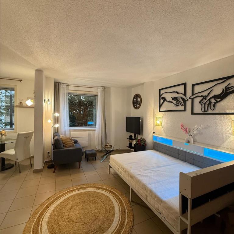 Large cozy studio - Annemasse - Close to Geneva - Appartamento con 1 Camera da Letto - 14