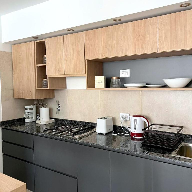 Depto renovado y luminoso, Pellegrini y Oroño, Parque Independencia - One-Bedroom Apartment - 3