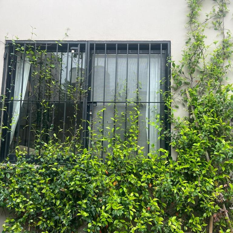 La Esquina de Carlos - Three-Bedroom House - 4