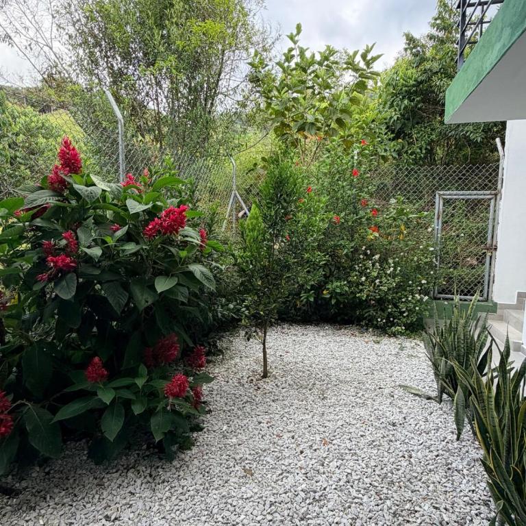 Cabaña San Juan, una experiencia fantástica rodeados naturaleza pura - Three-Bedroom Apartment - 1