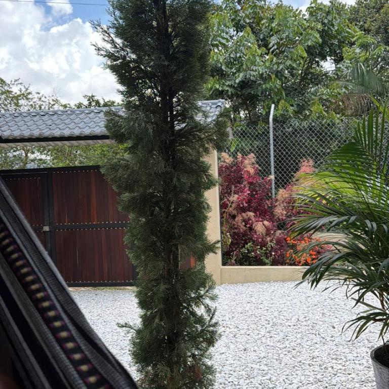 Cabaña San Juan, una experiencia fantástica rodeados naturaleza pura - Three-Bedroom Apartment - 9