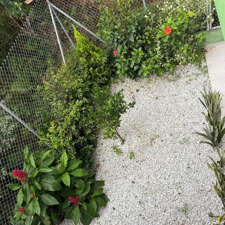 Cabaña San Juan, una experiencia fantástica rodeados naturaleza pura - Three-Bedroom Apartment - 12