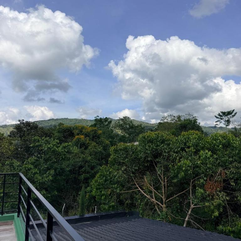 Cabaña San Juan, una experiencia fantástica rodeados naturaleza pura - Three-Bedroom Apartment - 18