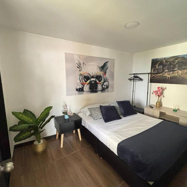 Hermoso apartamento Ibague 403 - Apartamento de 1 dormitorio - 17