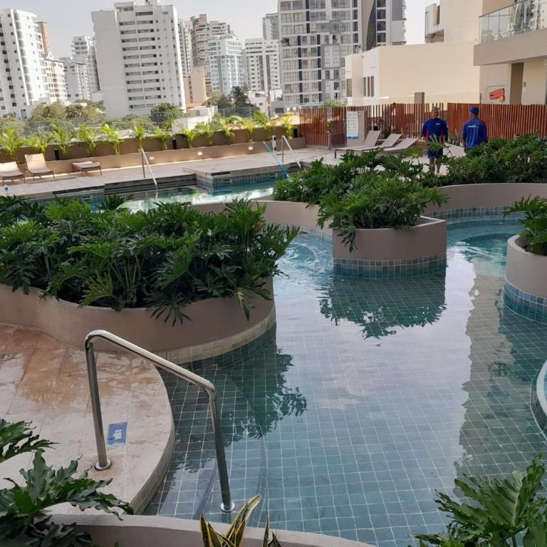 Playa Salguero Vista al mar - Apartamento de 1 dormitorio - 20