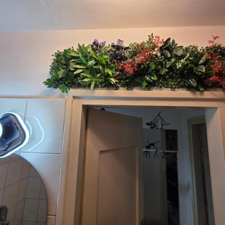 Di studio apartman - Standard Studio - 26