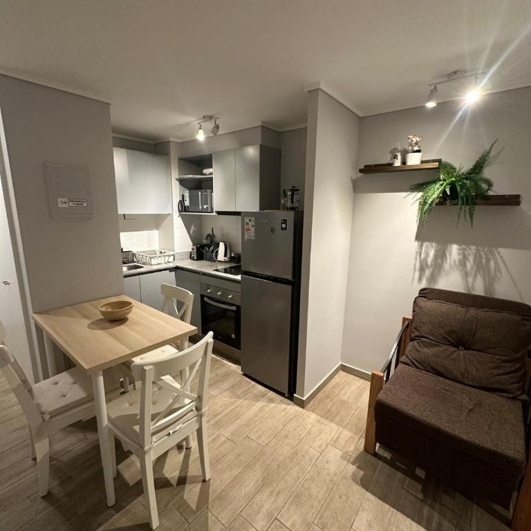 Apartment in downtown Santiago, Rondizoni Metro - One-Bedroom Apartment - 5