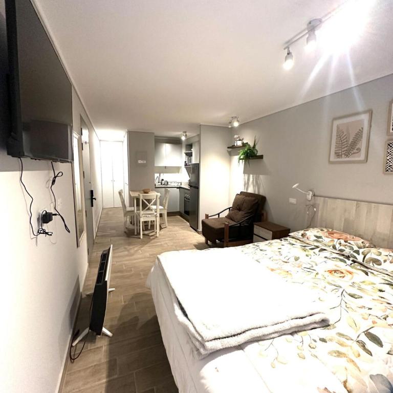 Apartment in downtown Santiago, Rondizoni Metro - One-Bedroom Apartment - 6