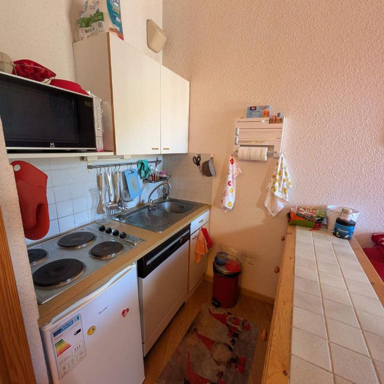 Duplex skis aux pieds, animaux OK - 6 pers. - Appartement 1 Chambre - 5