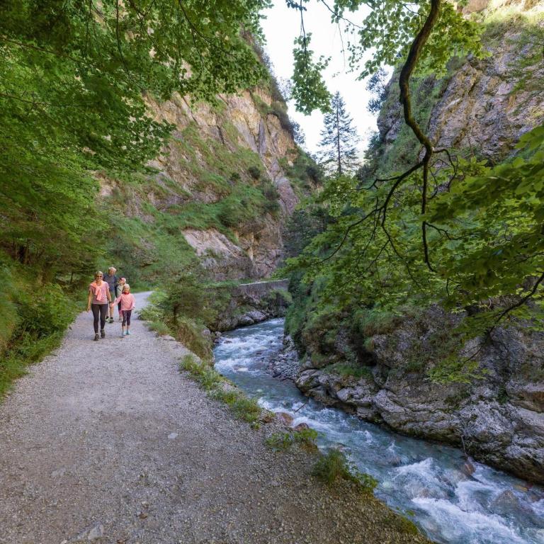 Brunner Apartment near the Markbachjoch cable car - Apartment mit 2 Schlafzimmern - 30