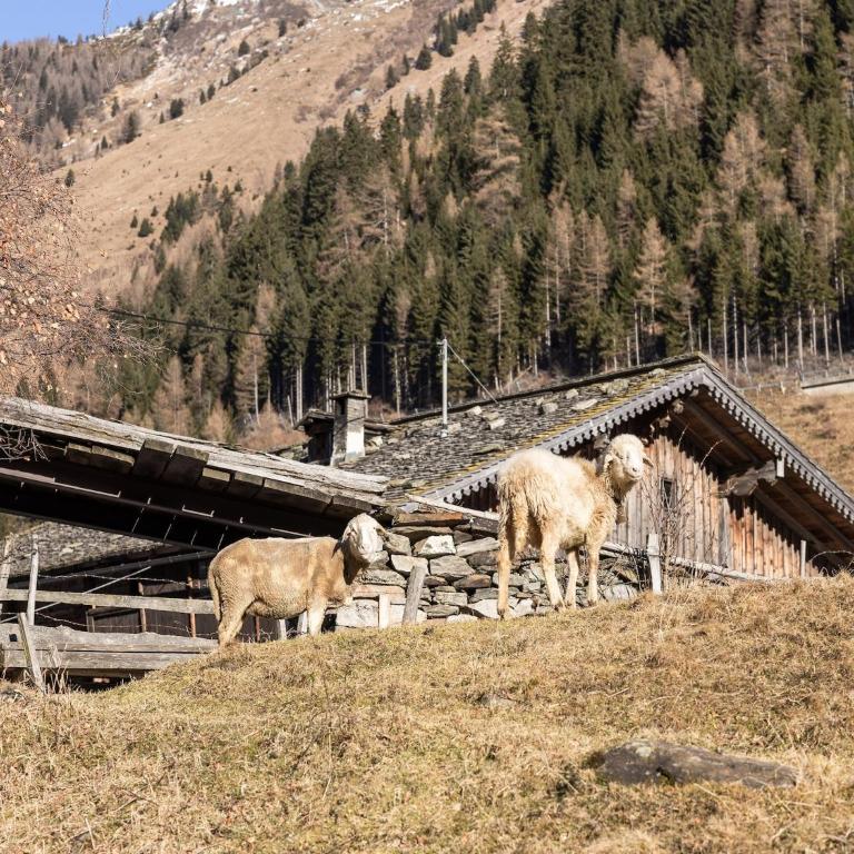 historic Chalet Raneburg - Superior Chalet - 28