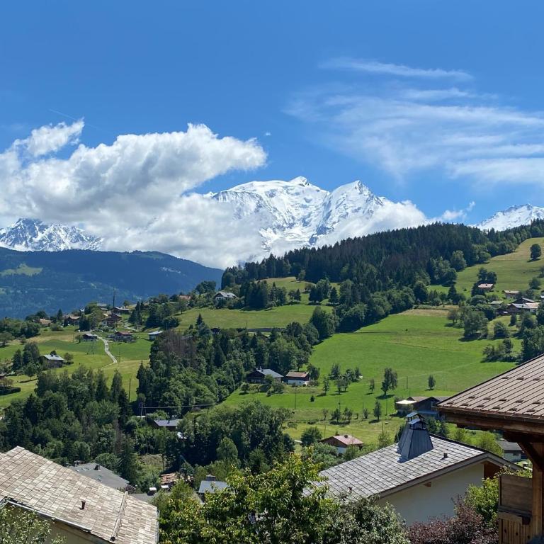 Terrasse Aravis - Apartamento de 2 dormitorios con vistas a la montaña - 34
